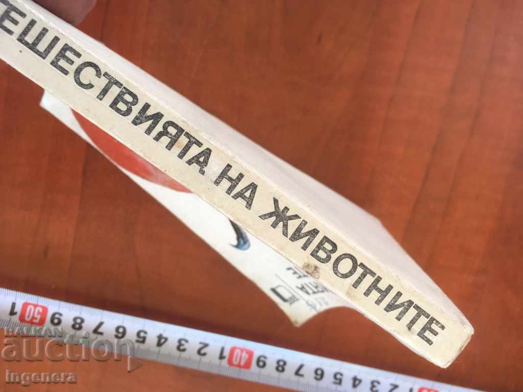 MOTHER RICHER'S BOOK-THE TRAVEL OF ANIMALS-1980 - 6 MOTHER RICHER'S BOOK-THE TRAVEL OF ANIMALS-1980 - 6