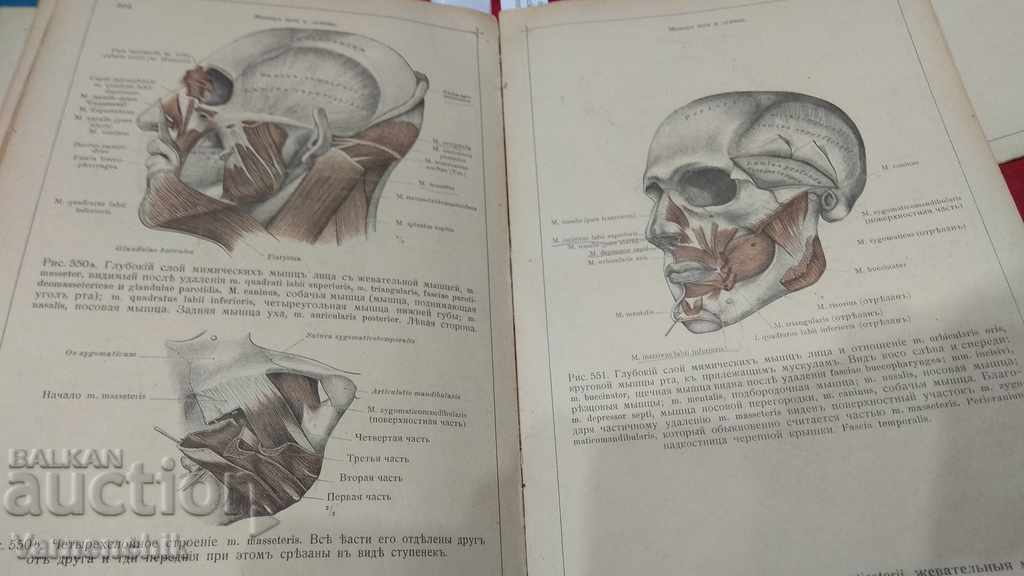 Licitație 1921 Atlas anatomic în limba rusă publicat la Berlin