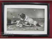 1910 Artă Fotografie reală a tabloului LANDSEER-1870.