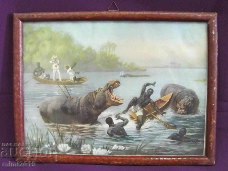 Vintage Lithograph by Hippos