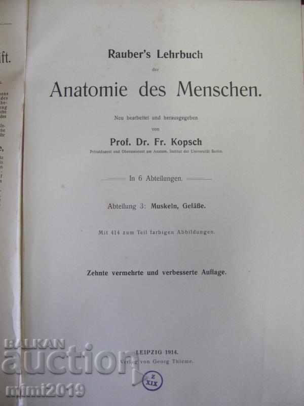 1914 Medical Atlas Book with price 150.00 BGN | € 76.69 1914 Medical Atlas Book with price 150.00 BGN | € 76.69