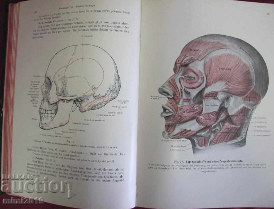 Auction 1914 Medical Atlas Book Auction 1914 Medical Atlas Book