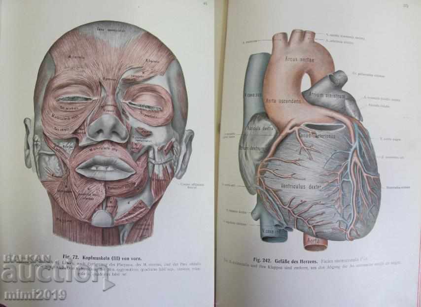 Delivery of 1914 Medical Atlas Book Delivery of 1914 Medical Atlas Book