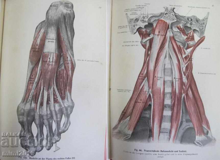 1914 Medical Atlas Book - 5 1914 Medical Atlas Book - 5