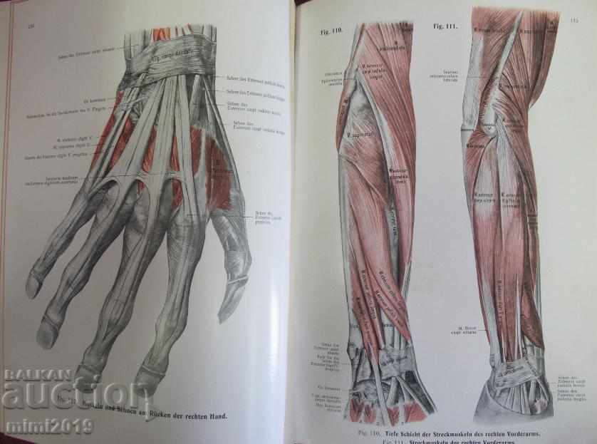 1914 Medical Atlas Book - 6 1914 Medical Atlas Book - 6