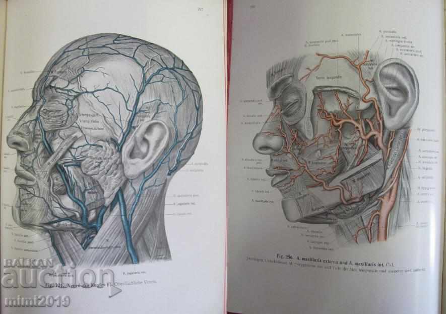 1914 Medical Atlas Book - 7 1914 Medical Atlas Book - 7