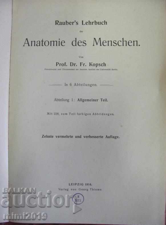 1914 Medical Atlas Book with price 150.00 BGN | € 76.69 1914 Medical Atlas Book with price 150.00 BGN | € 76.69