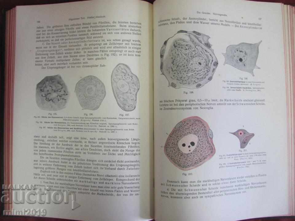 1914 Medical Atlas Book - 5 1914 Medical Atlas Book - 5