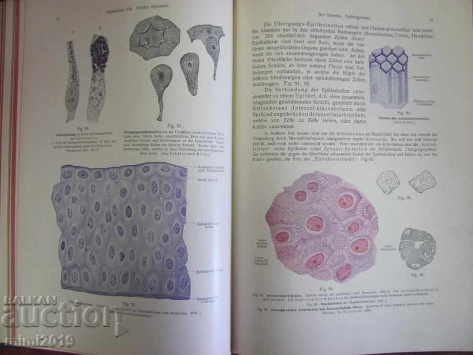 1914 Medical Atlas Book - 7 1914 Medical Atlas Book - 7