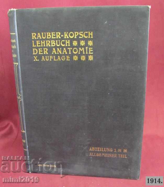 1914 Medical Atlas Book