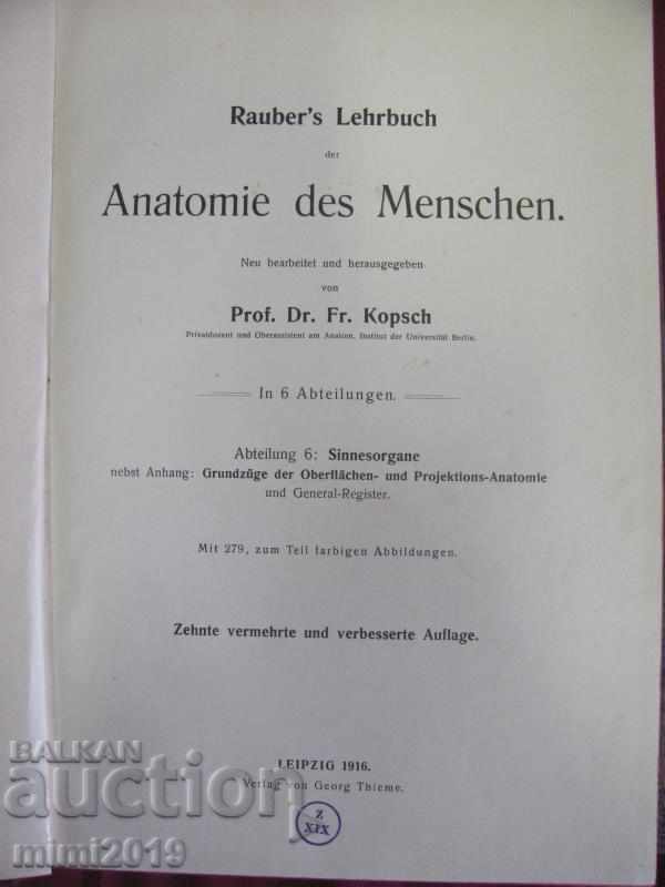 1916 Medical Atlas Book with price 150.00 BGN | € 76.69 1916 Medical Atlas Book with price 150.00 BGN | € 76.69