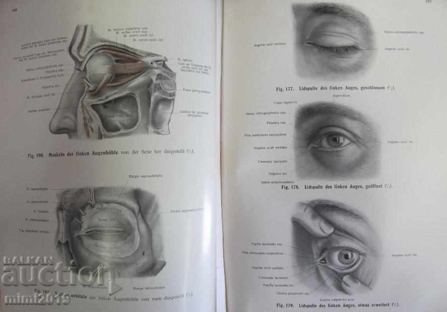 1916 Medical Atlas Book - 5 1916 Medical Atlas Book - 5