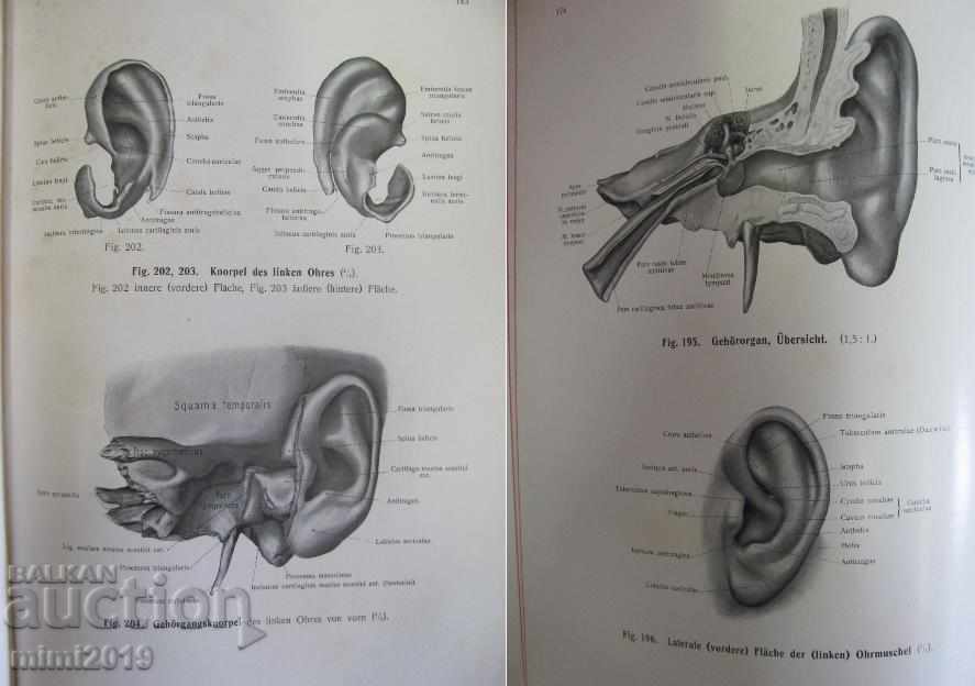 1916 Medical Atlas Book - 6 1916 Medical Atlas Book - 6