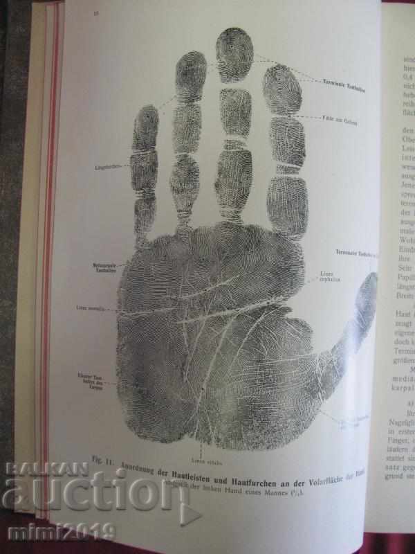 1916 Medical Atlas Book - 7 1916 Medical Atlas Book - 7