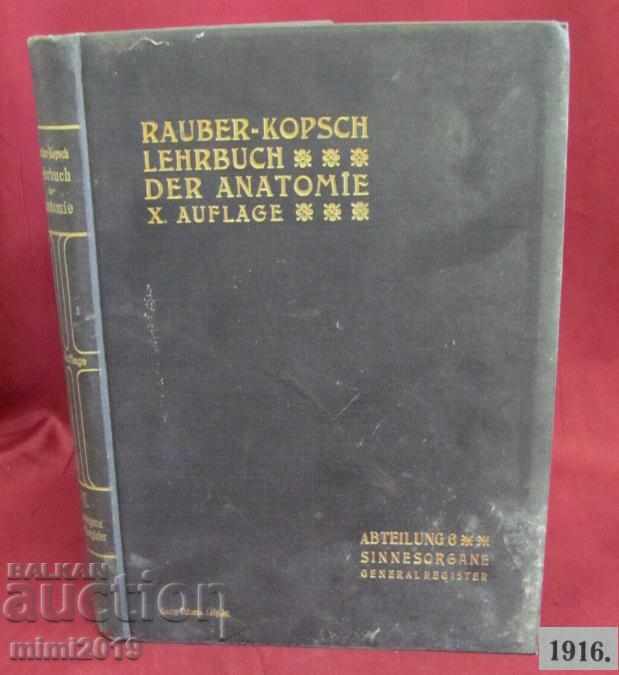 1916 Medical Atlas Book