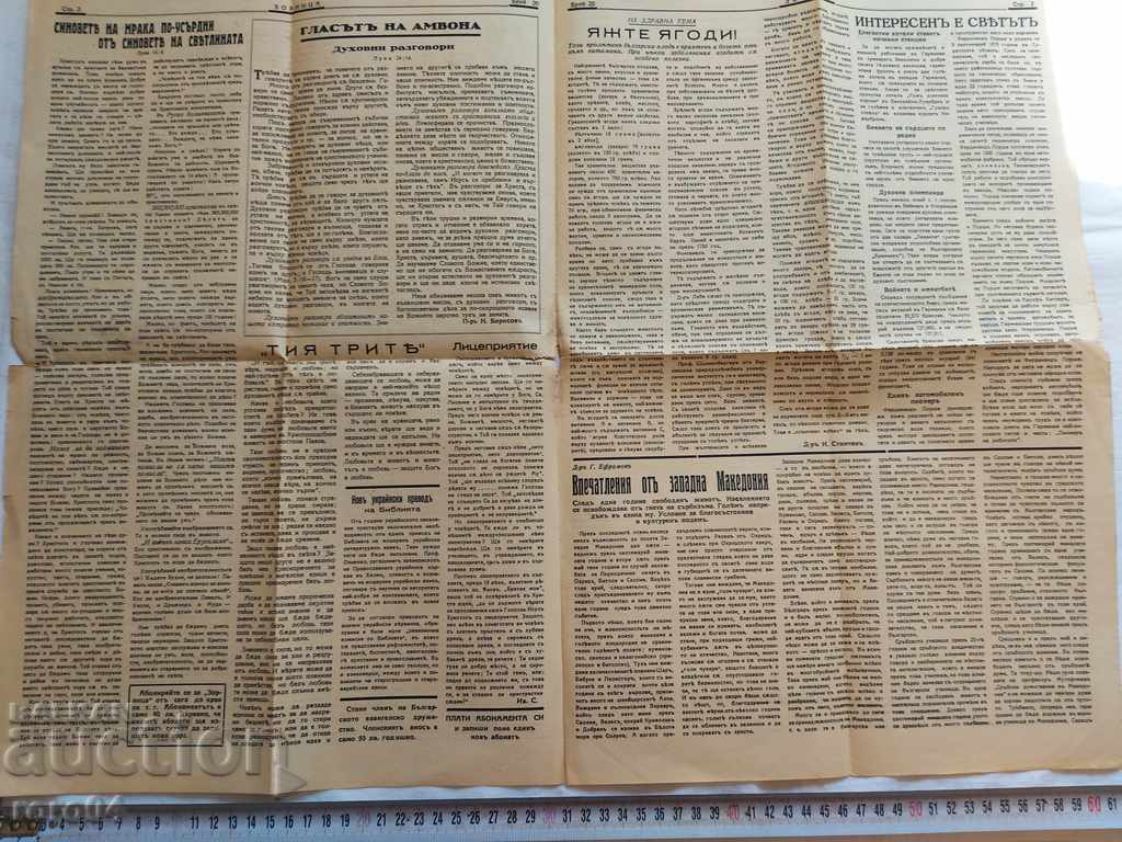 Auction ZORNICA Auction ZORNICA