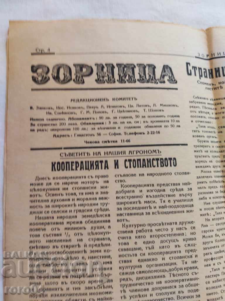 ZORNICA - 6 ZORNICA - 6