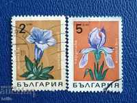 BULGARIA 1968 - FLORA, FLOWERS