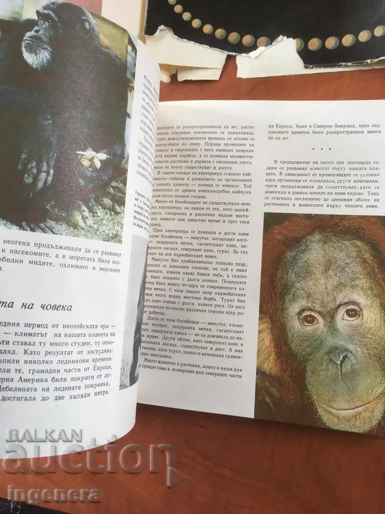 Auction BOOK-THE WORLD FROM WHICH WE COME-COLLECTIVE-1970 Auction BOOK-THE WORLD FROM WHICH WE COME-COLLECTIVE-1970