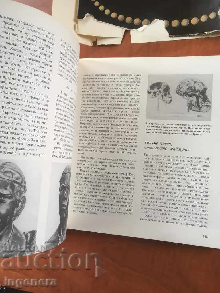 Delivery of BOOK-THE WORLD FROM WHICH WE COME-COLLECTIVE-1970 Delivery of BOOK-THE WORLD FROM WHICH WE COME-COLLECTIVE-1970