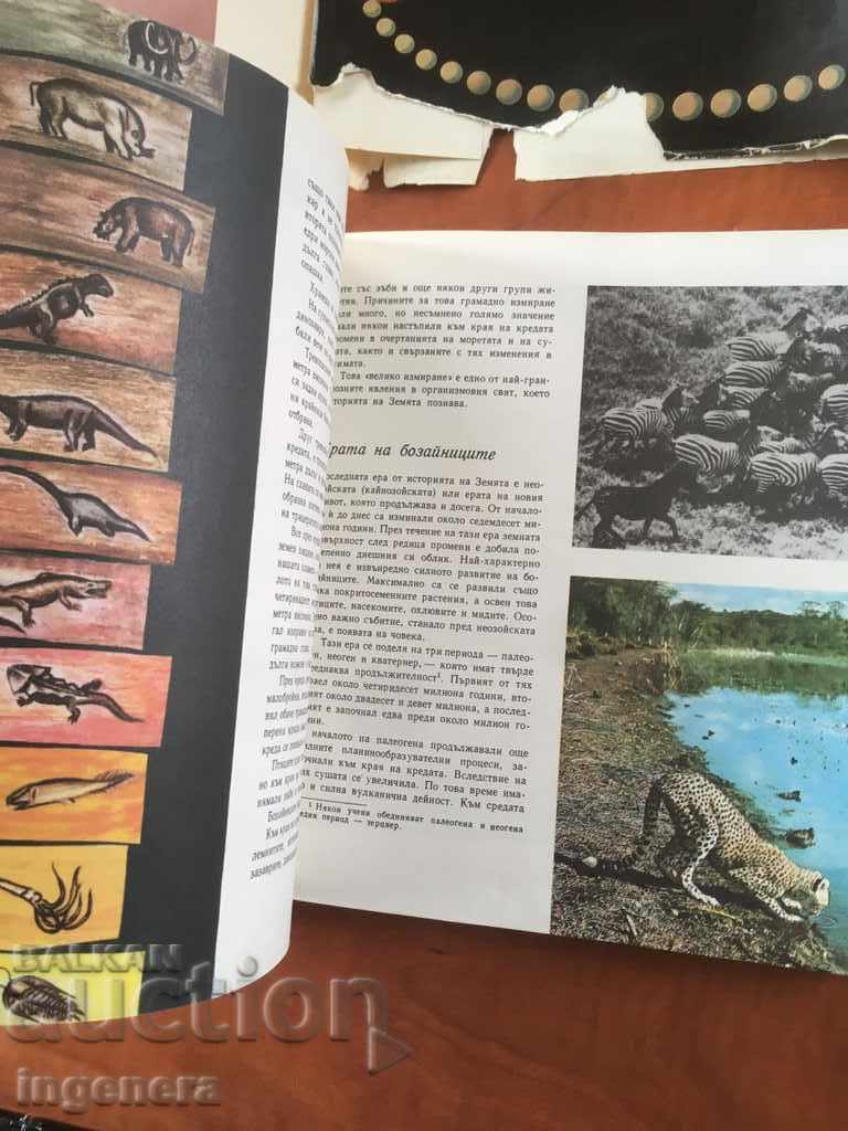 BOOK-THE WORLD FROM WHICH WE COME-COLLECTIVE-1970 - 5 BOOK-THE WORLD FROM WHICH WE COME-COLLECTIVE-1970 - 5