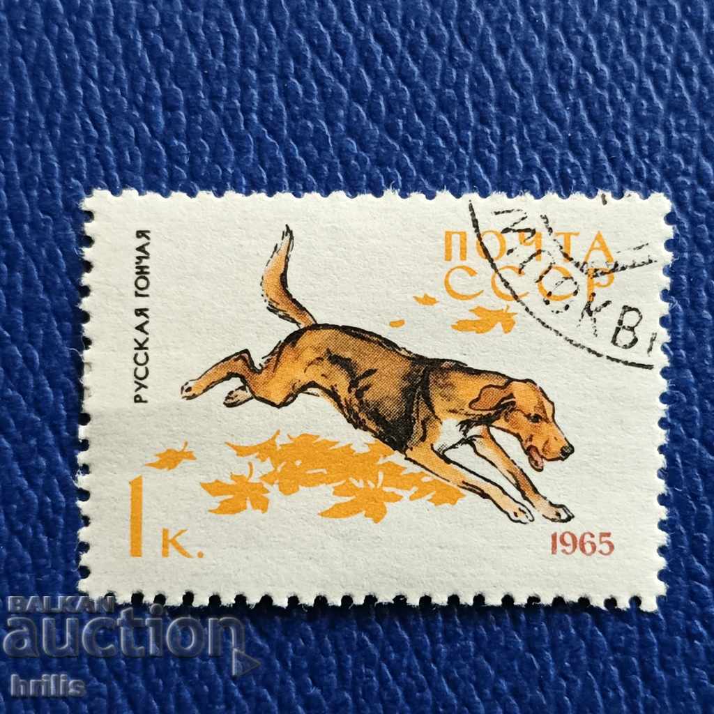 USSR 1965 - DOGS, RUSSIAN HUNT