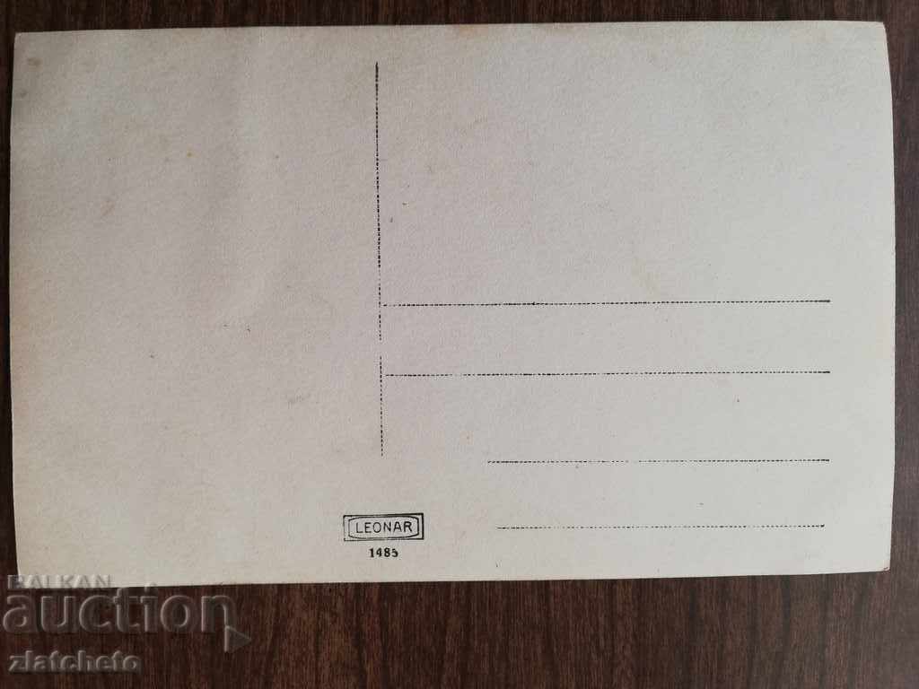 Auction Old photo - a century-old tree Auction Old photo - a century-old tree