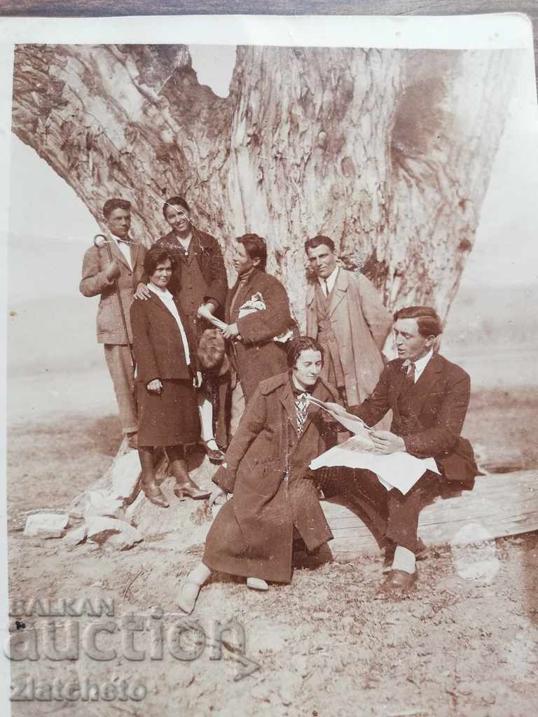 Old photo - a century-old tree with price 12.00 BGN | € 6.14 Old photo - a century-old tree with price 12.00 BGN | € 6.14