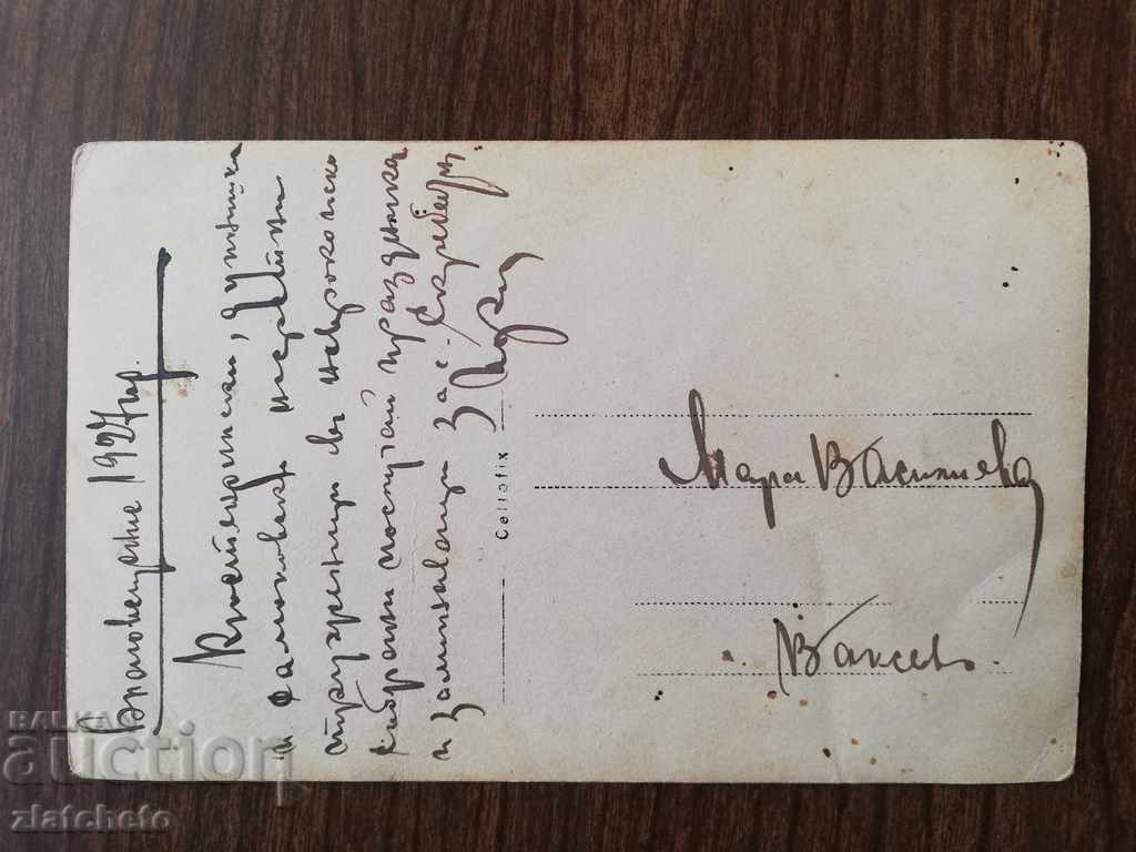 Auction Old photo - a century-old tree Auction Old photo - a century-old tree