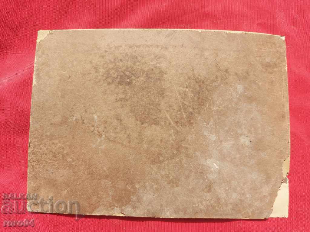 FOTOGRAFIE VECHE, FOARTE VECHE - CARTON - 7