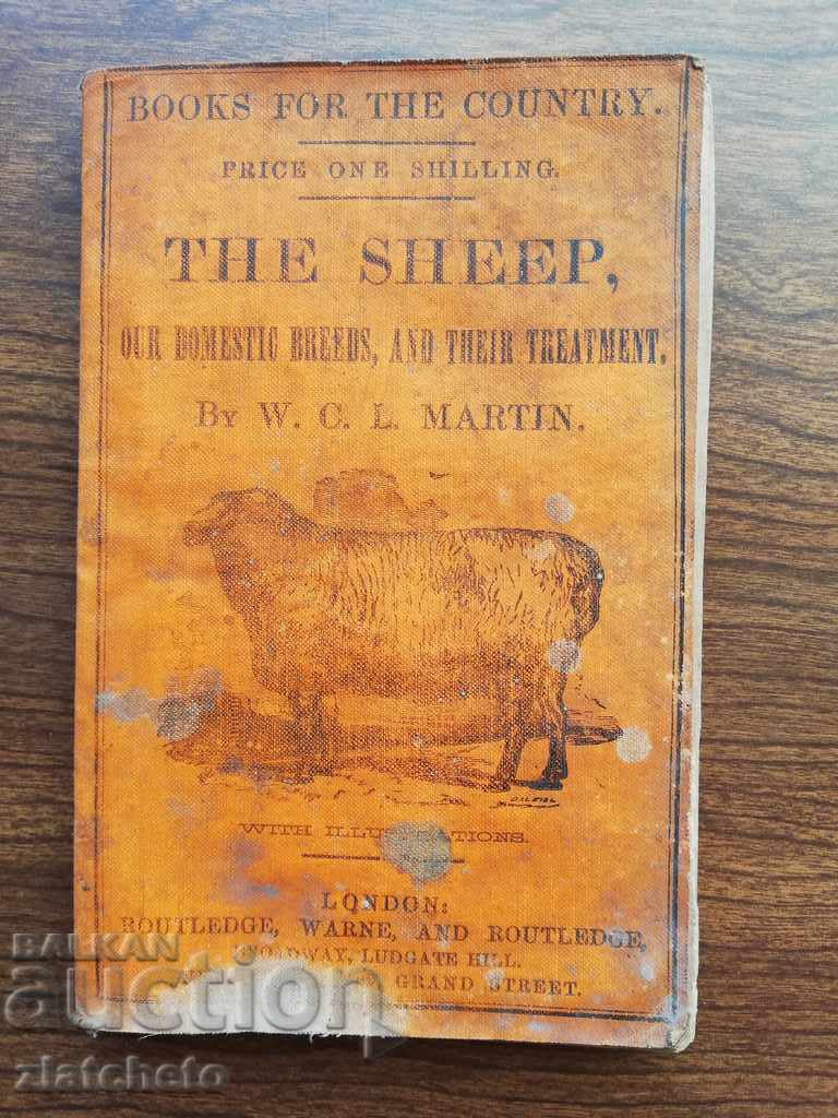 Sheep: Our domestic breeds, & their treatment. 1862 with price 30.00 BGN | € 15.34 Sheep: Our domestic breeds, & their treatment. 1862 with price 30.00 BGN | € 15.34
