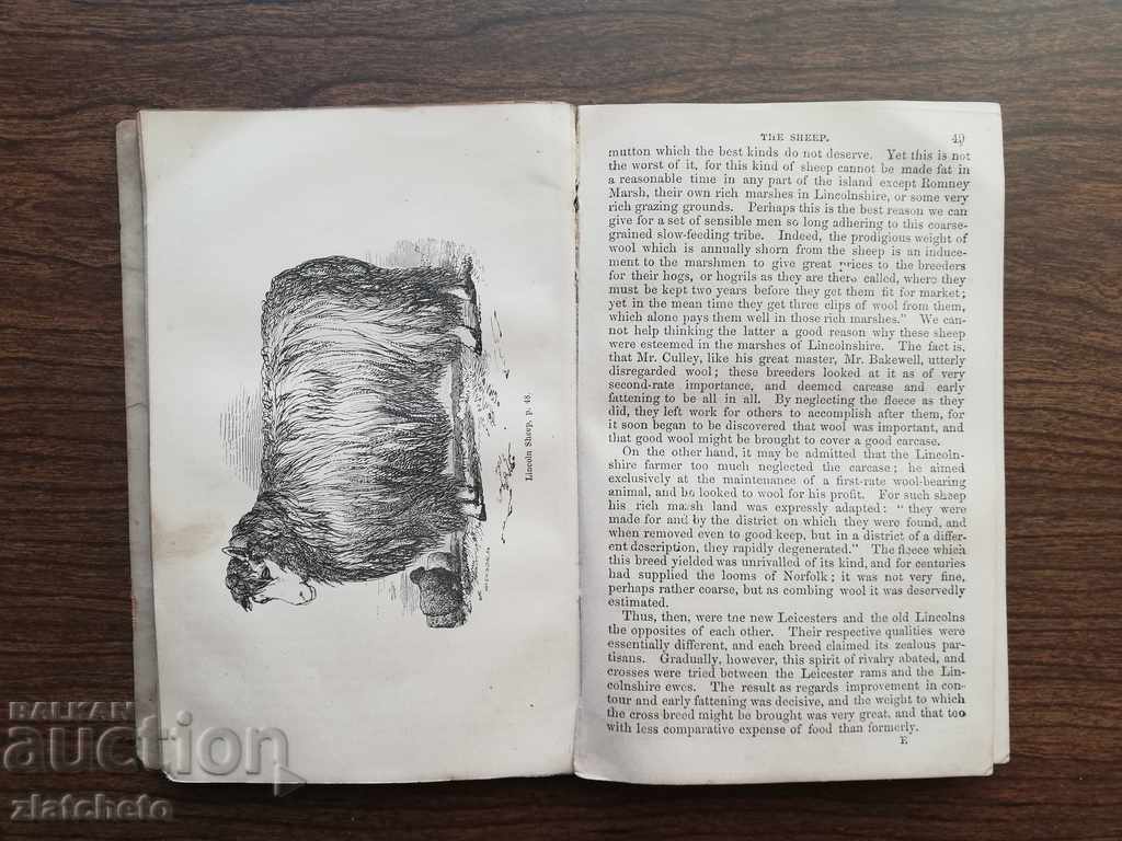 Sheep: Our domestic breeds, & their treatment. 1862 - 5 Sheep: Our domestic breeds, & their treatment. 1862 - 5