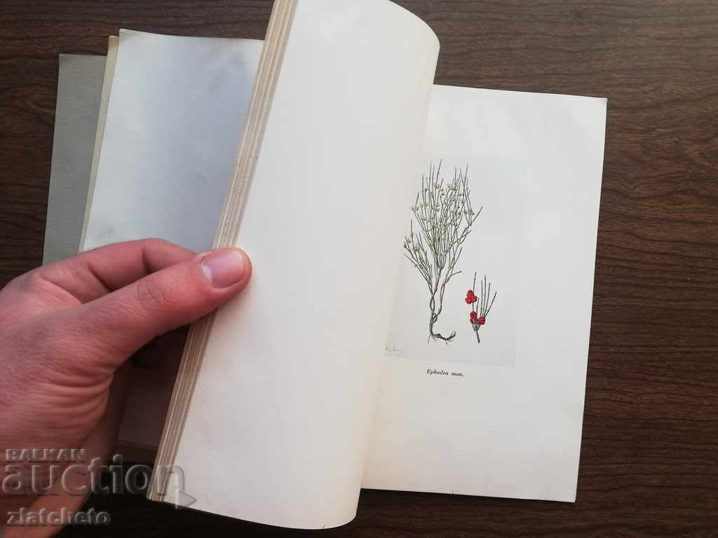 Sandoz A.G. №1 25 years of Sandoz research - 5 Sandoz A.G. №1 25 years of Sandoz research - 5