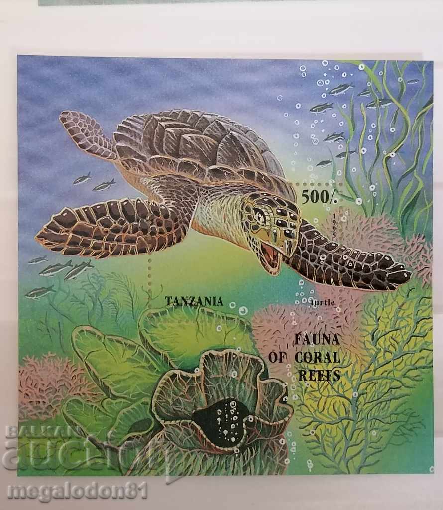 Τανζανία - θαλάσσια χελώνα