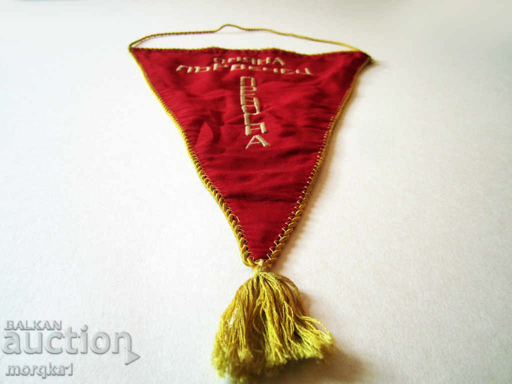 Flag, banner, flag, flag Change Champion Portable - 7