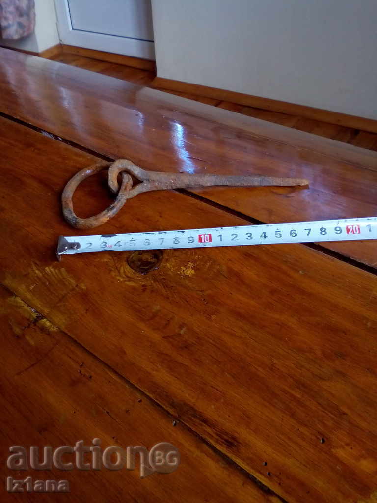 Auction  Antique Nail