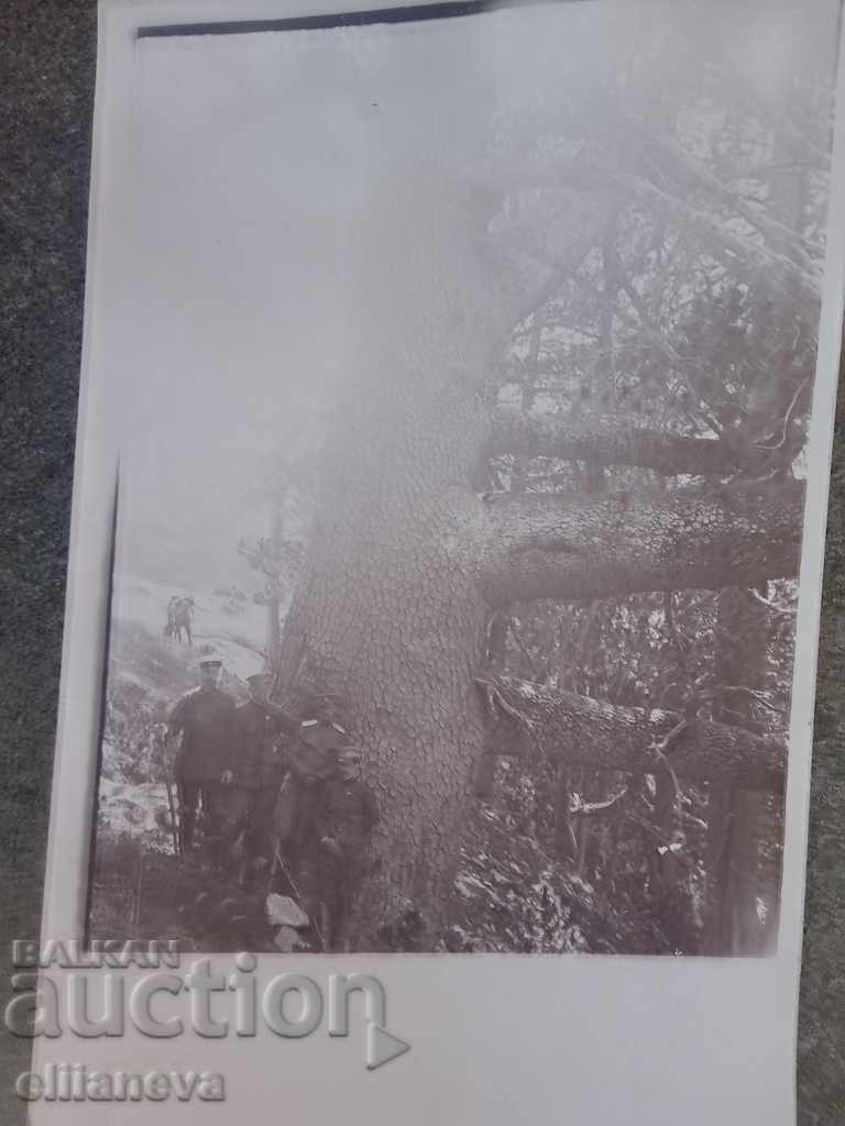 voena snimka King Ferdinand and the princes in 1914 with price 30.00 BGN | € 15.34 voena snimka King Ferdinand and the princes in 1914 with price 30.00 BGN | € 15.34