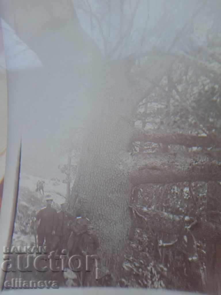 Auction voena snimka King Ferdinand and the princes in 1914 Auction voena snimka King Ferdinand and the princes in 1914