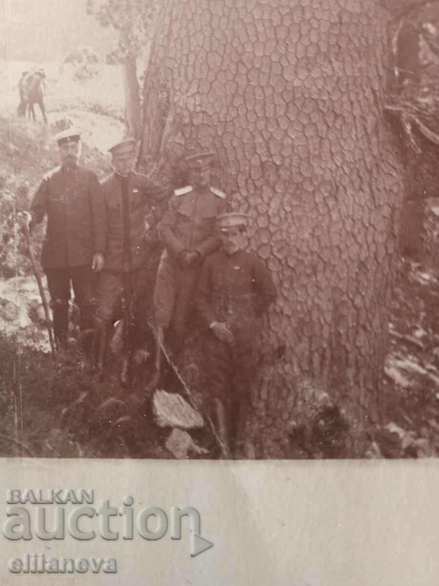 Delivery of voena snimka King Ferdinand and the princes in 1914 Delivery of voena snimka King Ferdinand and the princes in 1914