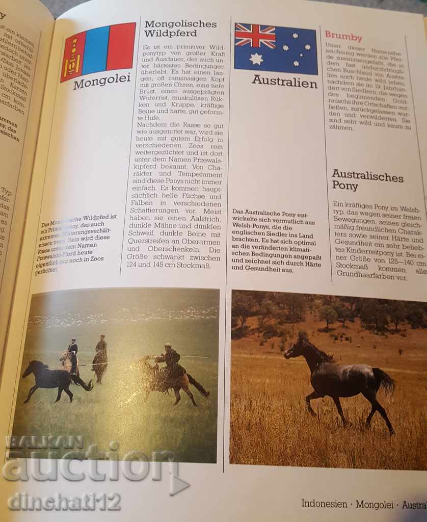 Delivery of Falken handbook. Pferde. Race, care, education, sports.