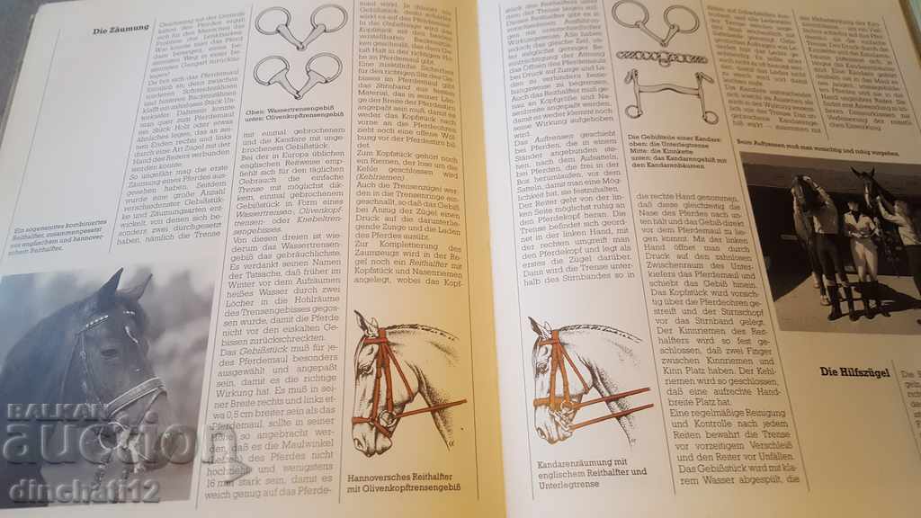 Falken handbook. Pferde. Race, care, education, sports. - 5