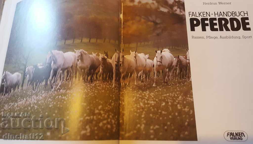 Falken handbook. Pferde. Race, care, education, sports. - 6