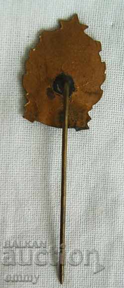 Auction Gymnastics badge 1950, enamel, rare Auction Gymnastics badge 1950, enamel, rare