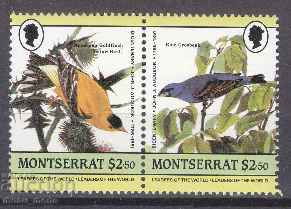 Montserrat 1985