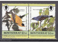 Montserrat 1985