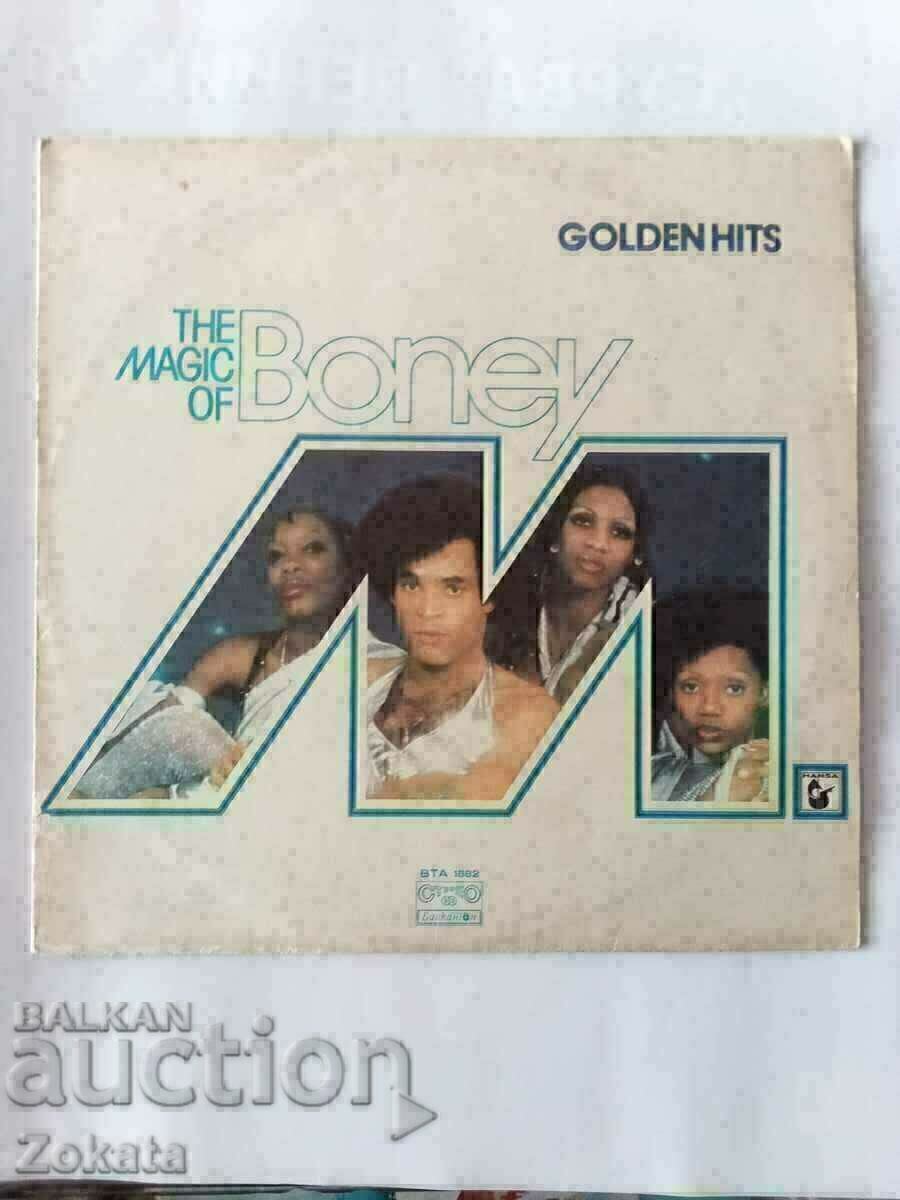 Large plate. Large plate.