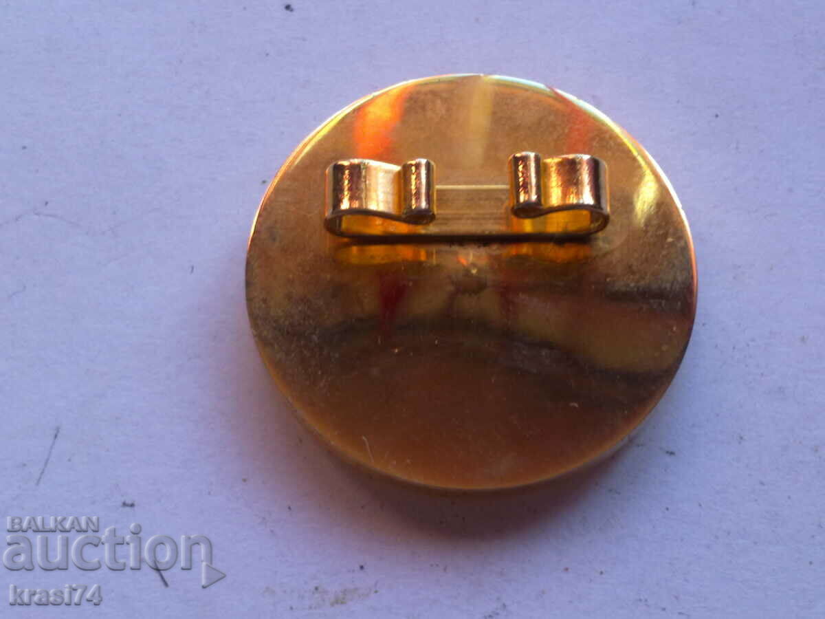 Something with price 10.00 BGN | € 5.11