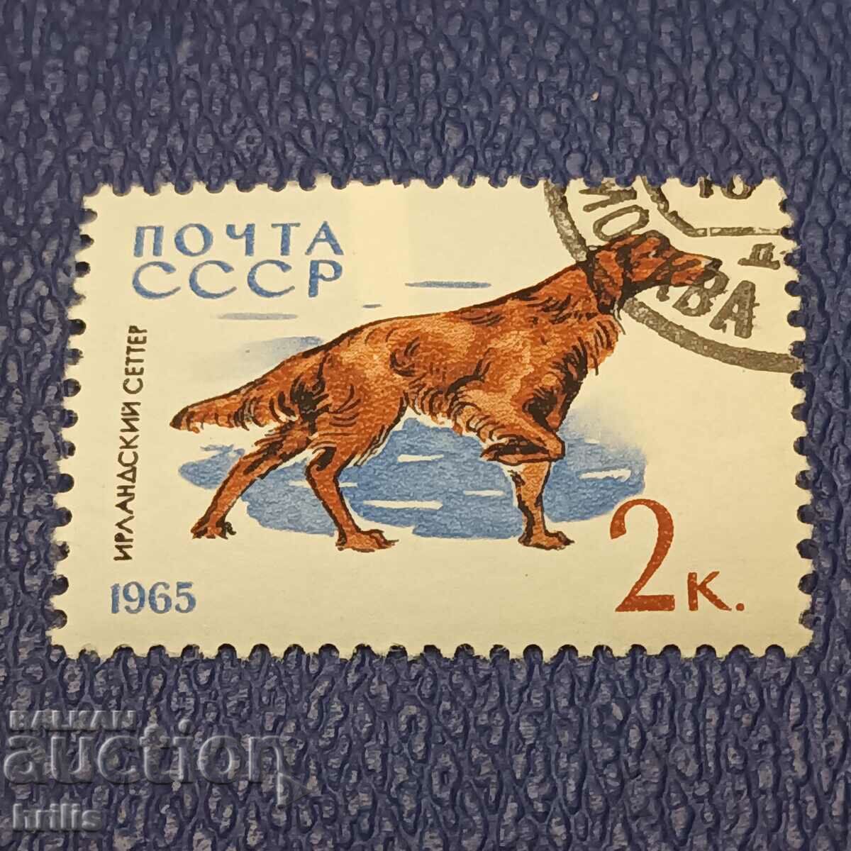 URSS 1965 - FAUNA, RASE DE CINI