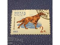 USSR 1965 - FAUNA, BREEDS OF DOGS
