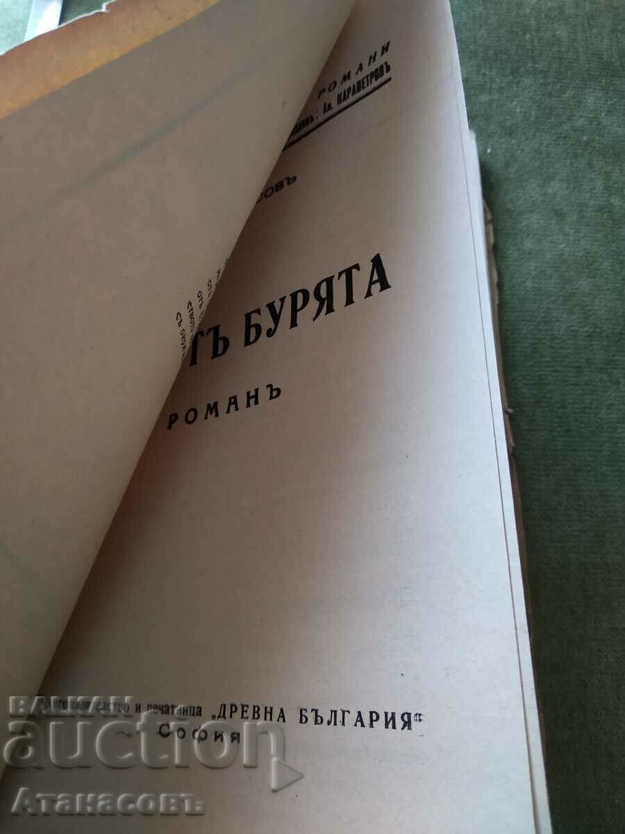 Echo of the storm Nikola Anastasov book one with price 19.99 BGN | € 10.22 Echo of the storm Nikola Anastasov book one with price 19.99 BGN | € 10.22